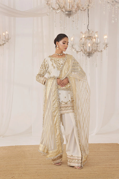 Buy Formal Dresses For Women Online In Pakistan | Zeshan Bariwala